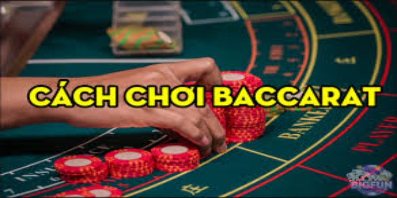 Hướng dẫn luật chơi cơ bản của Baccarat cho người mới bắt đầu