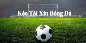 avatar kèo tài xỉu kubet88