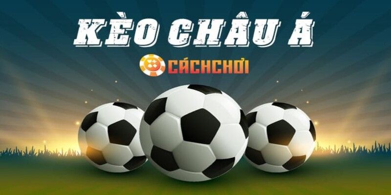 Sảnh cược cung cấp nhiều tỷ lệ cược khác nhau